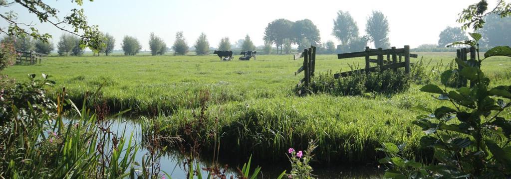 Bed & Breakfast Yerseke Exterior foto
